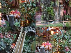 -正佳雨林生态植物园
