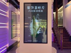 -大唐贡茶院