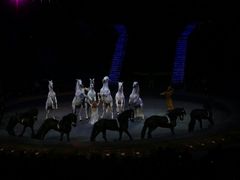 -珠海横琴长隆《卡卡虎奇遇记》