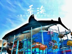 -海合安武汉极地海洋公园