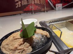 -海底捞火锅(新松江路店)