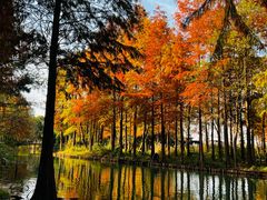 -西溪国家湿地公园