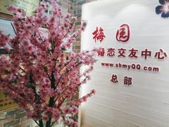 -梅园婚恋·婚姻介绍