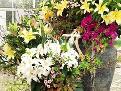 -上海鲜花港