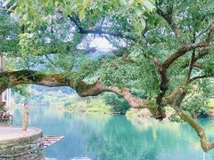 -上坦村