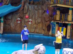 -烟台海昌鲸鲨海洋公园