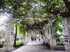 -荔湾湖公园