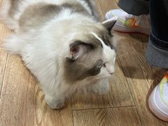 -白兔子密室(长寿路店)