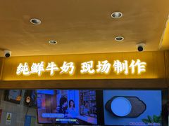 -文宇奶酪(南锣鼓巷店)