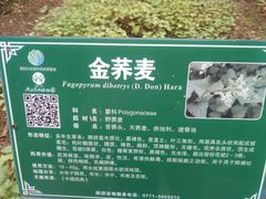 -广西壮族自治区药用植物园