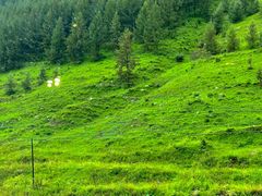 -云座·时光·观景咖啡厅(五爷庙店)