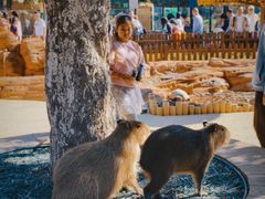 -大连森林动物园