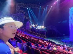 -珠海横琴长隆《卡卡虎奇遇记》