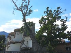 -阳台山自然风景区