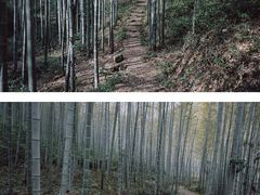 -黄公望隐居地