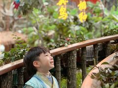 -正佳雨林生态植物园