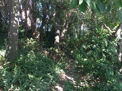 -佛山祈福仙湖酒店