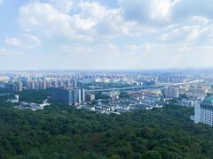 -杭州半山国家森林公园