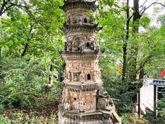 -高尔山公园