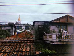 -巴浪鱼咖啡馆 Local Fish