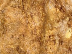 -老天桥酱肉烧饼夹肘子(天桥店)