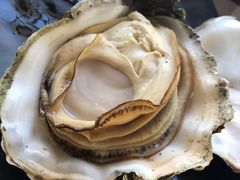 炭烧蚝-雅憩花园餐厅