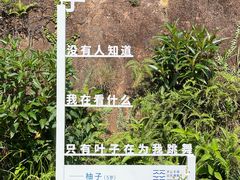 -马峦山郊野公园