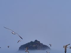 -棒棰岛宾馆景区