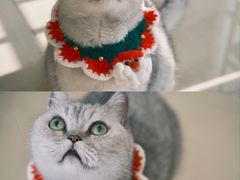 -Oasis绿洲银饰珍珠手作diy(壹方城店)