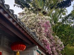 -深圳国际园林花卉博览园