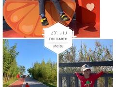 -上海长兴岛郊野公园