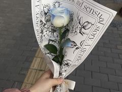 -FEI FEI FLOWER鲜花店·气球派对·宝宝宴布置(虹口德必运动Loft店)