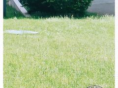 -长春公园(普阳街道)