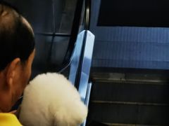 -凯德广场(武胜路店)