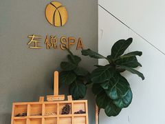 -左悦·艾灸调理·推拿按摩·精油SPA(卓悦汇店)