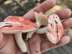 -北京宽沟会议中心