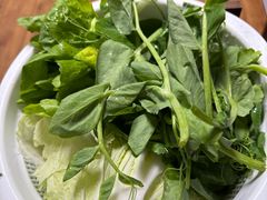 -菌极鲜野生菌火锅店(阳明祠店)