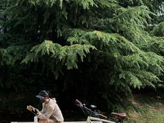 -唐城墙遗址公园