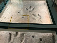 -湖南省地质博物馆