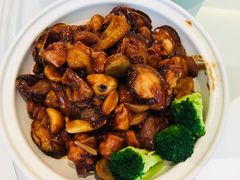 -张生记(丁香国际店)