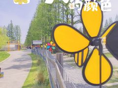 -前小桔亲子创意农场·草莓采摘·露营烧烤