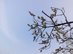 -则平律师服务团队·婚姻家事·法律服务