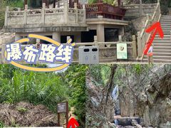 -阳台山森林公园