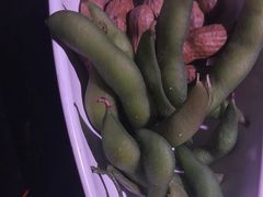 -丰茂烤串(全国首店)