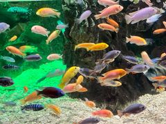 -太平洋海底世界