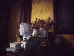 -斯多格书乡(北京大学畅春园店)