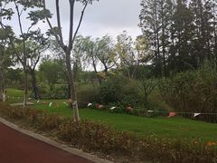 -上海长兴岛郊野公园