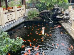 -顺德了能馆(虎门店)