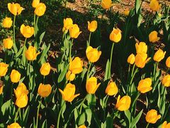 -长春公园(普阳街道)