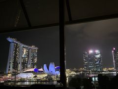 -新加坡丽思卡尔顿美年酒店